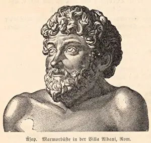 Prints of AESOP Greek writer of fables as depicted by a portrait bust in the Villa Albani, Rome Aesop Prints: Aesop Greek writer Print