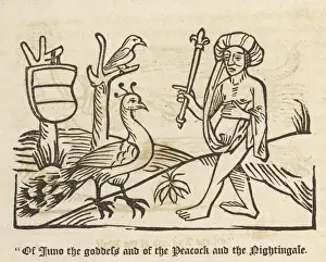 Prints of Of Juno the goddess and of the Peacock and the Nightingale - illustration to Caxtons 1484 edition of Aesops Fables Aesop Prints: Aesop's Fables Print - Juno and Peacock