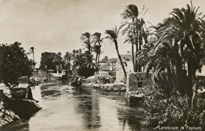 Al-Fayoum in the Fayoum Oasis, Egypt Al-Fayoum in the Fayoum Oasis, Egypt
