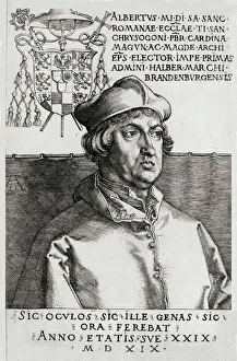 Albrecht Durer Prints: Albertus Magnus Print by Durer, 1193 - 1280