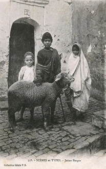 Algeria - North Africa - Young Shepherd with his sheep Algeria - North Africa - Young Shepherd with his sheep