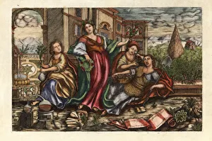 Allegorical scene with Flora, Botany, Physics and Pomona Allegorical scene with Flora, Botany, Physics and Pomona
