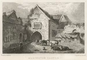 Allington Collection: Allington Castle, Maidstone Kent
