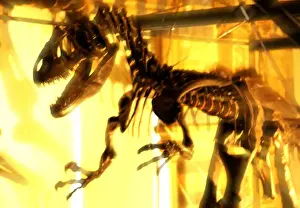Carnivorous Dinosaurs Prints: Allosaurus