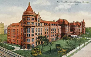 Prints of American Museum of Natural History, New York City, America Country Prints: American Museum of Natural History Print, New York City