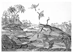 South West England History Prints: ANCIENT DORSETSHIRE