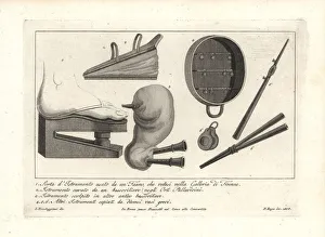 Ancient musical instruments including bellows Ancient musical instruments including bellows