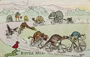 Humans Collection: Animal Bicycle Race