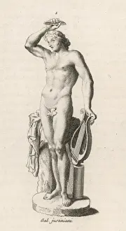 Apollo with Lyre Print: Fig-leaf draped male figure holding a lyre