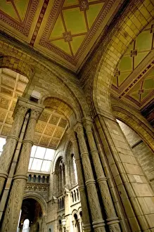Natural History Museum Interior Prints: Architectural features of the Main Hall