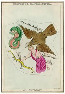 Prints of The Arrow constellation, showing Antinous being attacked by an eagle and also including a dolphin Aquatic Prints: The Arrow Star Map Print featuring Antinous and a Dolphin