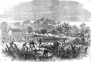The Ashanti War (1873-74) The battlefield of Abrakrampa The Ashanti War (1873-74) The battlefield of Abrakrampa