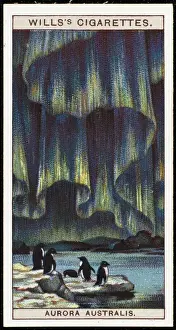 Prints of The aurora as seen in the southern latitudes Cricetidae Prints: Aurora Australis Print 1928