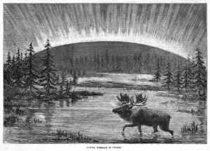 Aurora Borealis Sweden Prints: Aurora Borealis