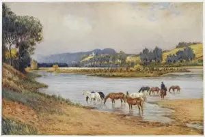Australian Scenic Landscapes Prints: Australia / Scenery