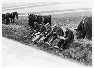 British Rural Life Prints: Authentic Ploughman s