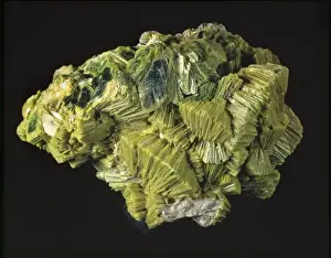 Natural History Museum Specimens Prints: Autunite