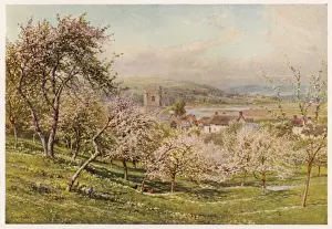 Devon England Historical Images Prints: Axmouth / Devon / 1909