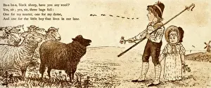 Nursery Rhymes Prints: Baa baa black sheep, have you any wool?
