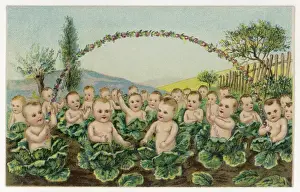 Cabbage Patch Babies Print