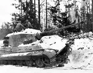 Prints of American soldiers on a German Tiger II (Royal Tiger) tank which had been knocked out by American Air Force fighter-bombers during the Battle of the Bulge Belgium Prints: Battle of the Bulge: American Soldiers Beside Knocked-Out Tiger II Tank Print