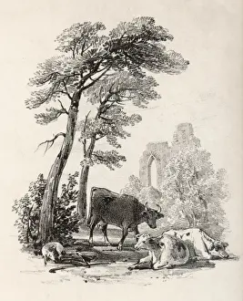 Kent Historical Sites Prints: Bayham Abbey 3 of 6