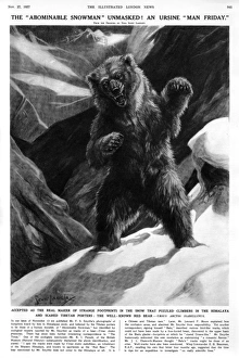 Bear believed responsible for 1937yeti footprints on Everest Bear believed responsible for 1937yeti footprints on Everest
