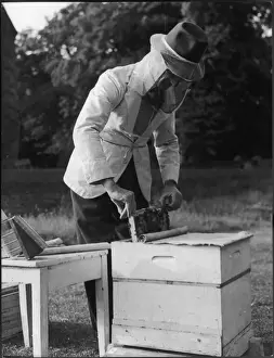 Apiculture Practices Prints: BEE KEEPER