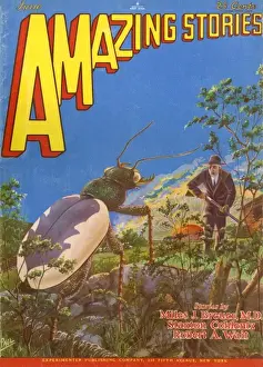 The Beetle Experiment Print, 1929