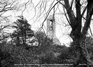 Bellcote of Templecraney Church from Portaferry Demesne Bellcote of Templecraney Church from Portaferry Demesne