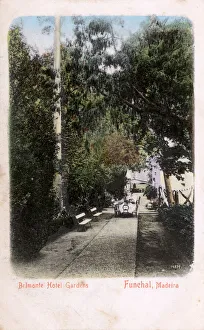 Belmonte Hotel Gardens, Funchal, Madeira Belmonte Hotel Gardens, Funchal, Madeira