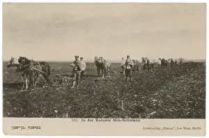 Middle East Images Prints: BEN-SCHEMEN COLONY