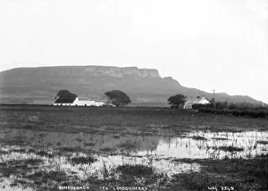 Benevenagh Print, Northern Ireland, Early 1900s