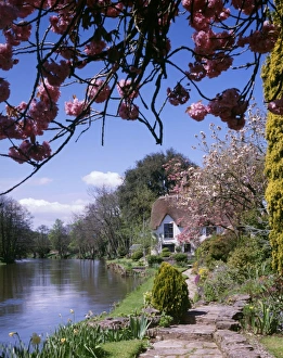 Bickleigh Cottage on the River Exe, Devon Bickleigh Cottage on the River Exe, Devon
