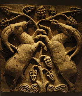 Billy goats next to a vine. 6th-7th centuries. Relief Billy goats next to a vine. 6th-7th centuries. Relief