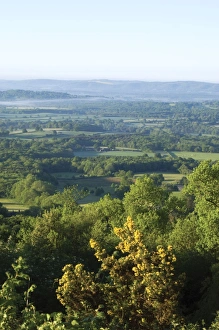 Blackdown / Black Down hill - 280 m / 919 feet Blackdown / Black Down hill - 280 m / 919 feet