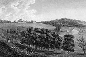Prints of Distant view from the north, with deer in the foreground. Date: 1787 Palace Prints: Blenheim Palace Print, Distant View with Deer, 1787
