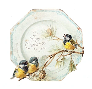 Three blue tits on a plate-shaped Christmas card Three blue tits on a plate-shaped Christmas card