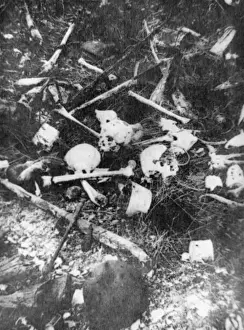 World War 1 Battlefield Prints: Bones 1916