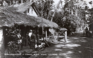 Boralesgamuwa, near Colombo, Ceylon (Sri Lanka) Boralesgamuwa, near Colombo, Ceylon (Sri Lanka)