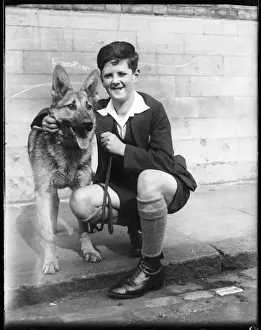 Young Boy With Dog Prints: Boy & German Shepherd