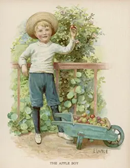 Apple Tree Illustration Prints: Boy Picking Apples