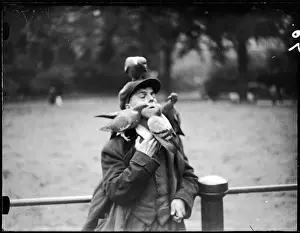 Hyde Park London Photos Prints: Boy & Pigeons