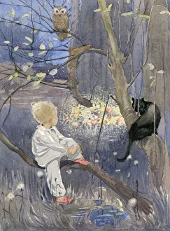 Boy in a tree with cat and owl, by Muriel Dawson Boy in a tree with cat and owl, by Muriel Dawson