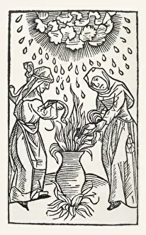 Witches Brewing a Potion, Print