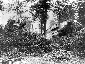 British tanks in Oosthoek Wood, Belgium, WW1 British tanks in Oosthoek Wood, Belgium, WW1