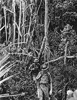 British Troops Train in Malaya Print, December 1941