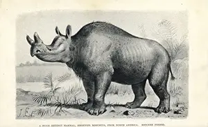 Prints of Brontops robustus.. Lithograph after an illustration by J. Smit from H. N. Hutchinsons Extinct Monsters and Creatures of Other Days, Chapman and Hall, London, 1894 Robustus Prints: Brontops robustus Lithograph Print, 1894