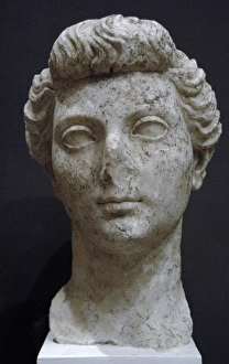 Bust of Empress Livia, wife of Augustus Bust of Empress Livia, wife of Augustus