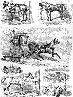 Cab and Cab Horse Show, Alexandra Palace, 1875 Cab and Cab Horse Show, Alexandra Palace, 1875